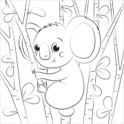 Koala Coloring Pages